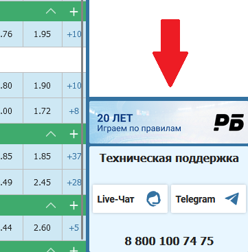 Техническая поддержка Бетсити