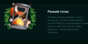 Ранний тотал от Pinco