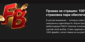 100% страховка ординара от Pinco