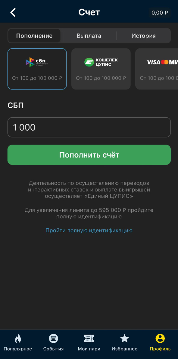 Выбор способа платежа в Бетсити Выбор способа платежа в Бетсити