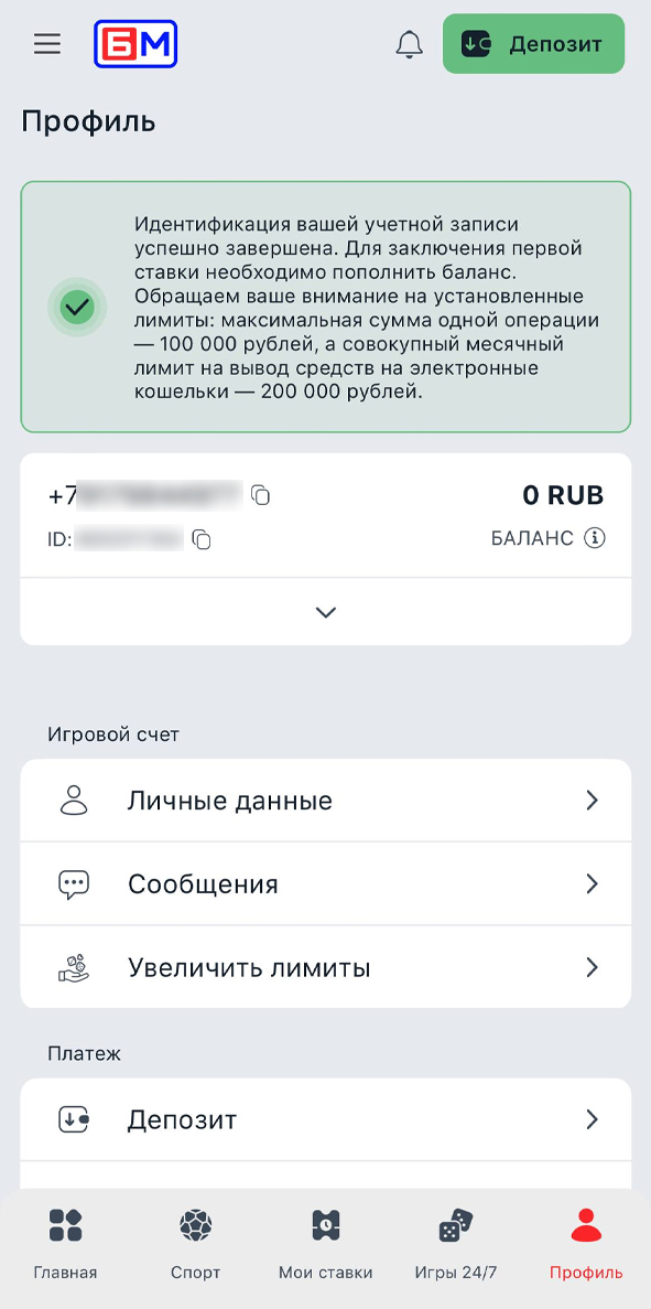 Профиль в Бет-М