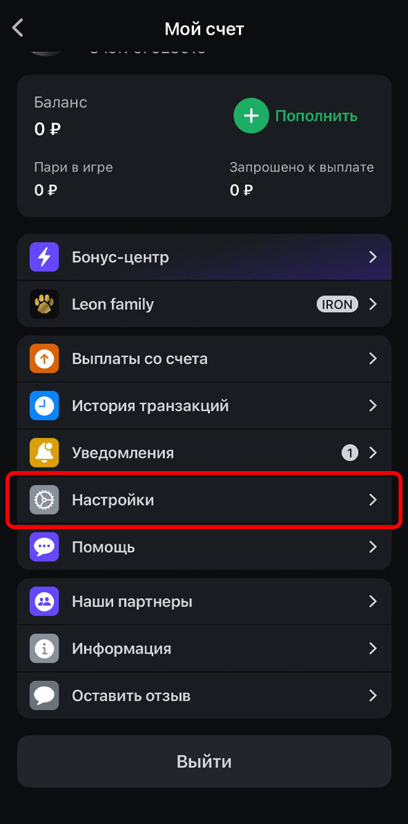 Настройки в меню Леон