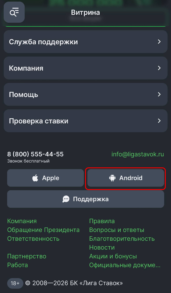 Кнопка скачивания в меню Лиги Ставок