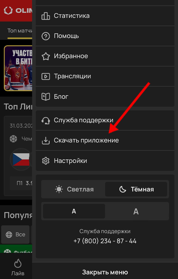 Кнопка скачивания на сайте Олимп