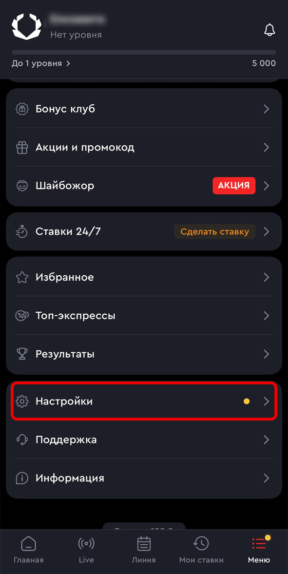 Настройки в меню Олимп