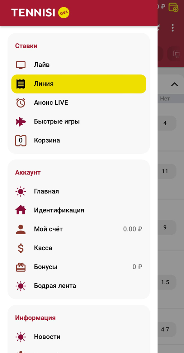 Выбор раздела Линия в Тенниси