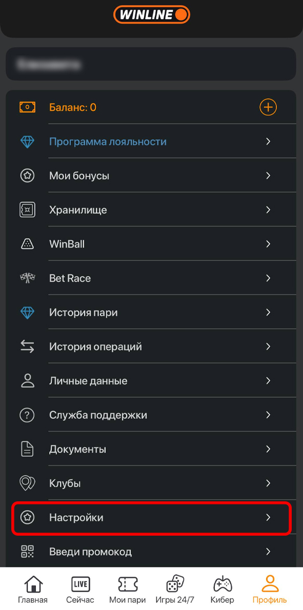 Настройки в профиле Винлайн