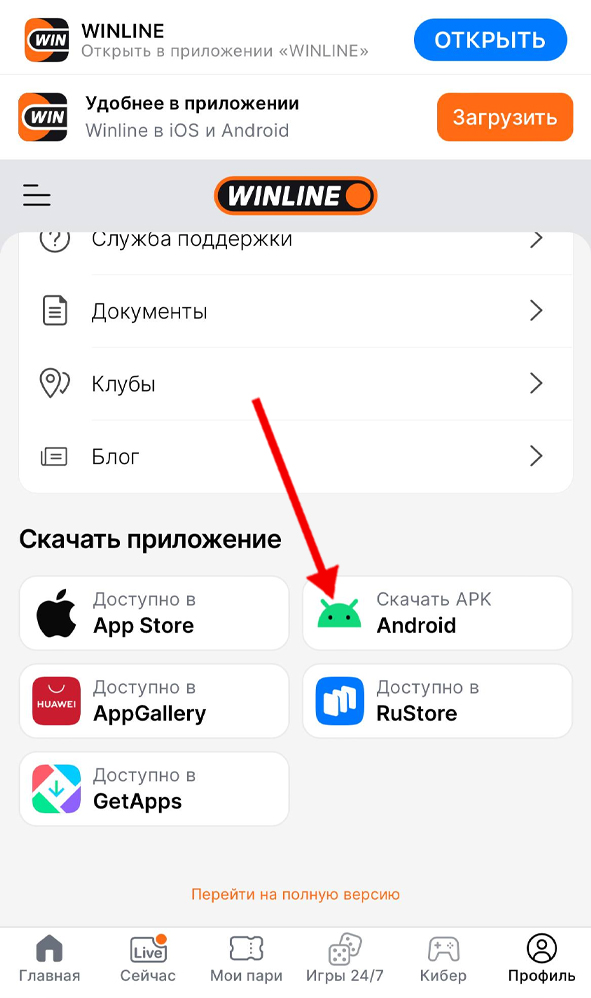 Скачивание приложения Винлайн