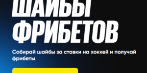 Шайбы фрибетов